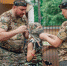 Лазертаг по-волжски - захватывающие кадры игры - Блокнот Волжского