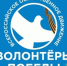 волонтер победа - Волжская правда