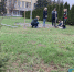 Субботник Дворец Русинка ЕД (2) - Волжская правда