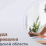 цур 15 июля 1 - Волжская правда