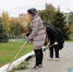 В День единых действий волжане вышли на патриотический субботник - Волжская правда