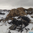свалка альянс- лк4 - Волжская правда