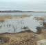 В реках Волгоградской области начал подниматься уровень воды 95.78.246.146 - Volzsky.Ru