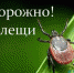 1111 - Волжская правда