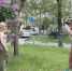 Модели Девушки сквер на молодёжной. фото ЕД (1) - Волжская правда