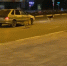 Собак не должно быть в городе - так считают большинство опрошенных волжан - Блокнот Волжского