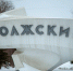 Поддельные квитанции, школьные скандалы и убийство собак: о главном за неделю в Волжском - Блокнот Волжского