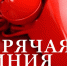 Волжане могут позвонить на горячую линию Роспотребнадзора - OpenVlz.Ru