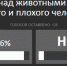 «Слабый и плохой человек»: волжане осудили соседа, выкинувшего из окна кота - Блокнот Волжского