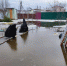 Дом многодетной семьи В Волжском уходит на глазах под воду. Видео - Блокнот Волжского
