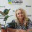 Волжский может стать постоянной площадкой для Всероссийского форума социального предпринимательства - Волжская правда