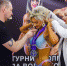 В Волжском пройдет чемпионат по бодибилдингу - Блокнот Волжского