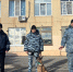Волжские автоинспекторы наведались в школы города с собаками 95.78.246.146 - Volzsky.Ru