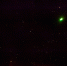 Стоит ждать ярких эмоций: гороскоп на 25 декабря - Блокнот Волжского