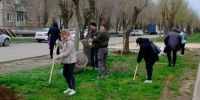 На уборку Волжского вышла почти половина участников 95.78.246.146 - Volzsky.Ru
