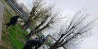 Более 1200 кубометров листвы и мусора вывезли на полигон в Волжском - Блокнот Волжского