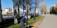 В Волжском проведут ежегодный «День единых действий» 95.78.246.146 - Volzsky.Ru