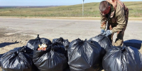В Волгоградской области пытаются очистить берега водоемов от мусора 95.78.246.146 - Volzsky.Ru