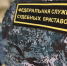 Волгоградские приставы за неделю взыскали алиментов на сумму свыше 7 миллионов рублей 95.78.246.146 - Volzsky.Ru