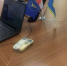 С помощью сервиса можно получить копии учредительных документов в электронном виде - Volzhsky.Ru