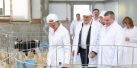 Министру сельского хозяйства показали передовые волгоградские предприятия АПК 95.78.246.146 - Volzsky.Ru