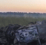 На трассе под Волгоградом в опрокинувшейся машине сгорел пассажир 95.78.246.146 - Volzsky.Ru