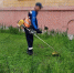 Дикорастущую коноплю уничтожили под Волжским - Блокнот Волжского