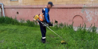 Дикорастущую коноплю уничтожили под Волжским - Блокнот Волжского