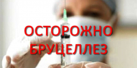 Волжанам напоминают о рисках, связанных с приобретением мяса и молочных продуктов в несанкционированных местах - Администрация г. Волжский