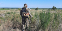 В Волгоградской области уничтожили конопляные заросли на площади более 700 кв м 95.78.246.146 - Volzsky.Ru