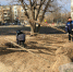 Предпочтительные породы: в Волжском появится больше 4 тысяч новых растений 95.78.246.146 - Volzsky.Ru