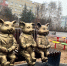 В Волжском завершились работы на объектах благоустройства в рамках нацпроекта - Администрация г. Волжский