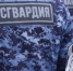 В Волжском задержали рецидивиста, пытавшегося вынести из ТЦ еду и обувь - Блокнот Волжского