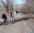 повалило дерево - Волжская правда