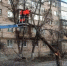 Мэрия Волжского спустя два дня после урагана наконец отчиталась о ситуации в городе - Volzsky.Ru