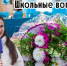 «А в ответ – тишина»: что осталось от школьных знаний у волжан - Блокнот Волжского