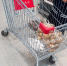Цены на продукты снова изменились в Волжском - Блокнот Волжского