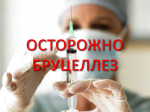 Приобретение мяса и молочных продуктов на стихийных рынках может привести к заражению бруцеллезом