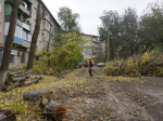 В Волжском потратят два миллиона рублей на уход за деревьями и кустарниками